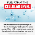 Fuel ATP at the Cellular Level headline with blue molecule illustration and text about NAD+ producing quick energy.