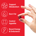 Hand holding a supplement with icons for metabolism support, fat burning, appetite control, and energy boost.