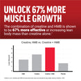 Key Ingredients in Creatine + HMB Supplement by Force Factor