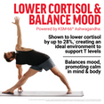 KSM-66 Ashwagandha clinically shown to lower cortisol and promote balanced mood and calm for mind and body.