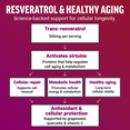 Flowchart showing how trans-resveratrol activates sirtuins to support cellular repair, metabolic health, and healthy aging
