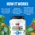 Vegan Plant Protein Powered By Smarter Greens