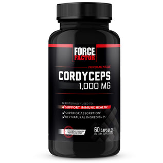 Cordyceps