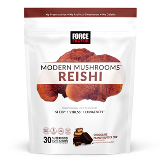 Modern Mushrooms Reishi Soft Chews