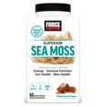 Force Factor Superior Sea Moss soft chews with premium Irish sea moss for immune, gut, and skin health; salted caramel flavor.