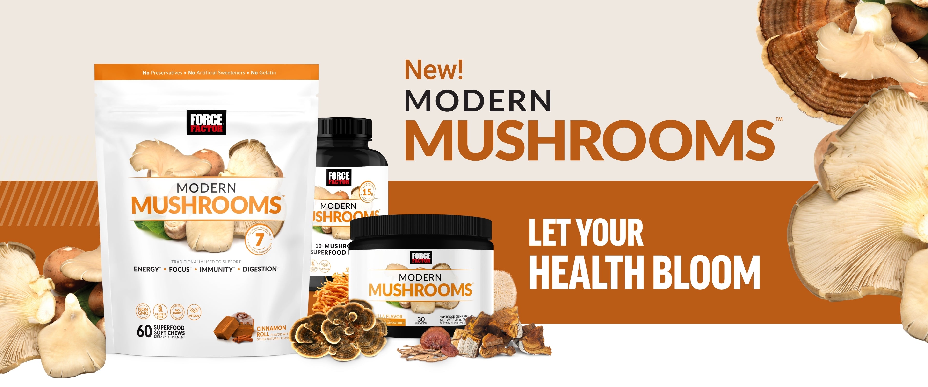 New! Modern Mushrooms. Let Your Health Bloom