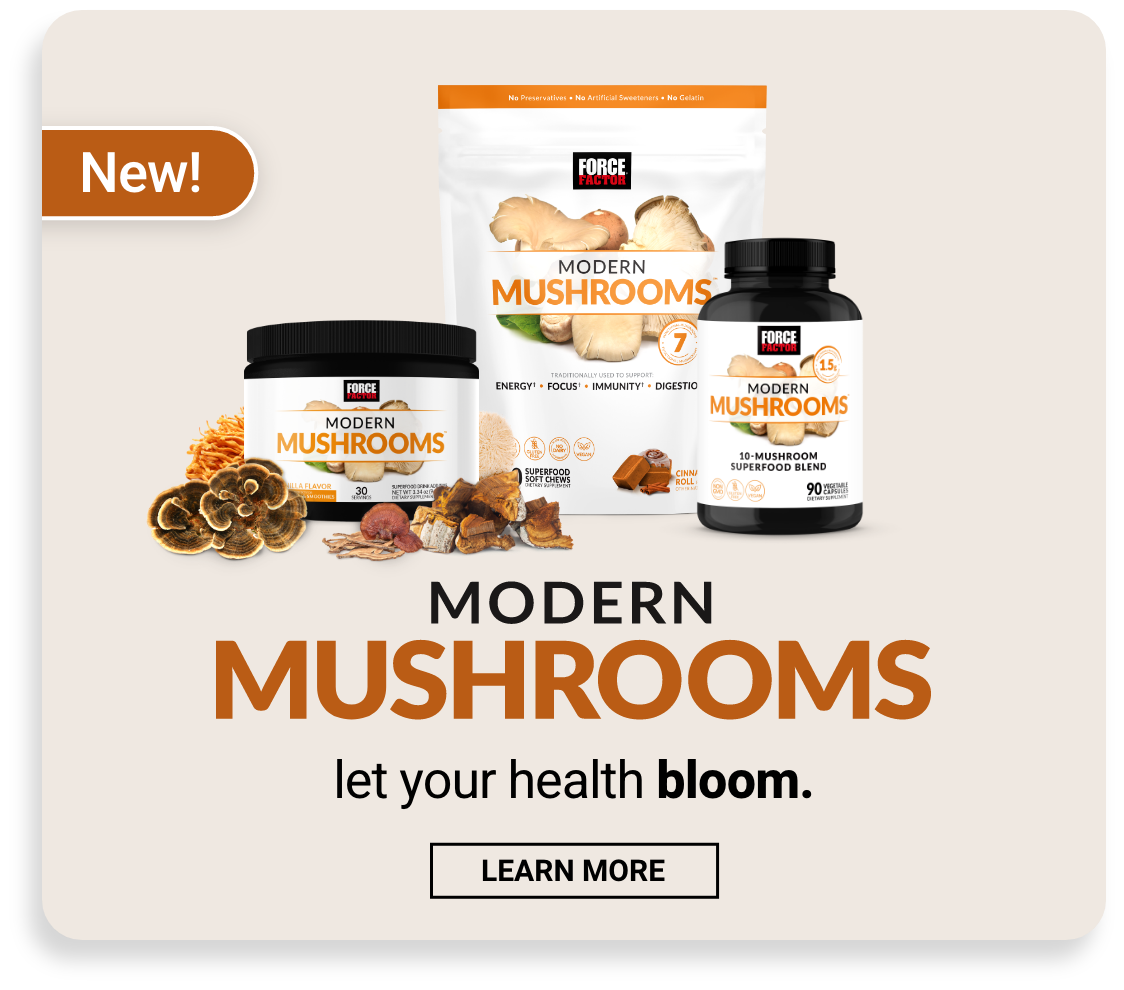 New! Modern Mushrooms - Learn More