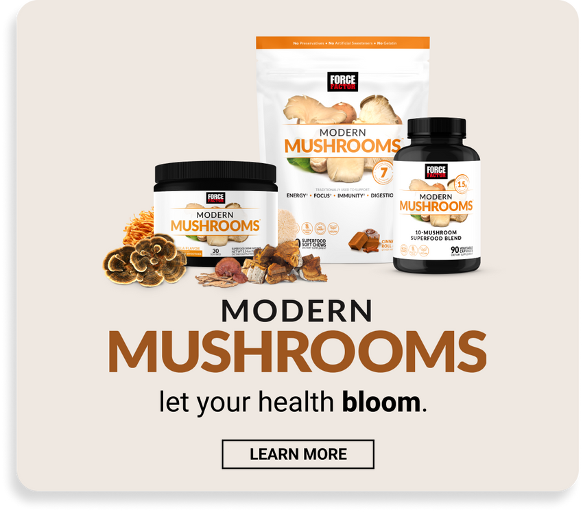 New! Modern Mushrooms - Learn More