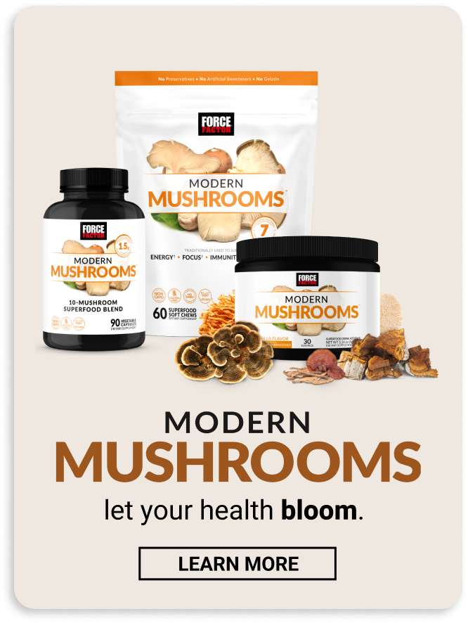 New! Modern Mushrooms - Learn More