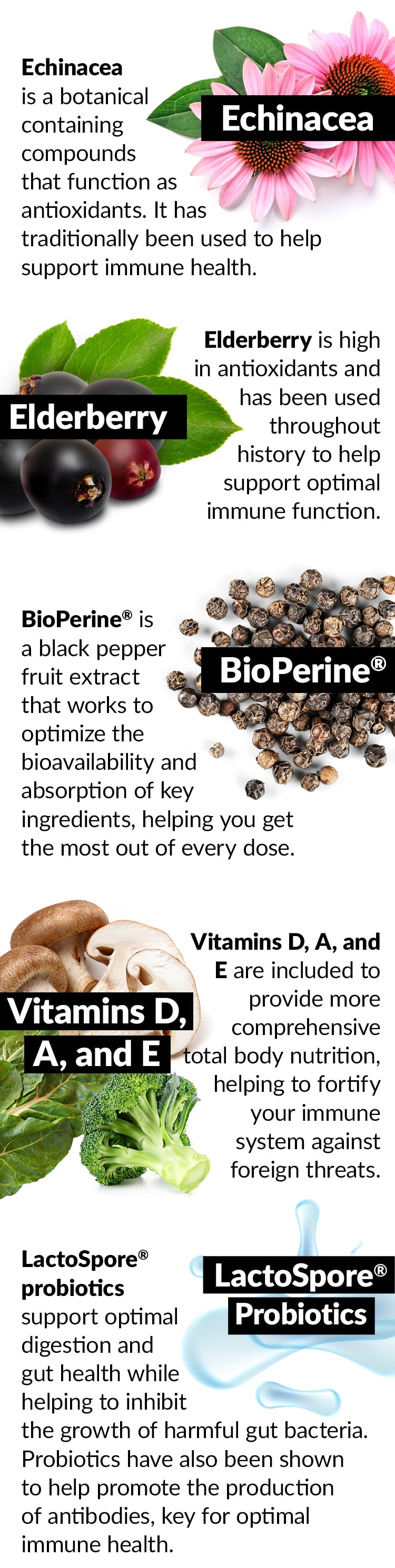 Echinacea is a botanical containing compounds that function as antioxidants. It has traditionally been used to help support immune health. BioPerine® is a black pepper fruit extract that works to optimize the bioavailability and absorption of key ingredients, helping you get the most out of every dose. PLUS: Vitamins D, A, and E are included to provide more comprehensive total body nutrition, helping to fortify your immune system against foreign threats. LactoSpore® probiotics support optimal digestion and gut health while helping to inhibit the growth of harmful gut bacteria. Probiotics have also been shown to help promote the production of antibodies, key for optimal immune health.