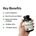 Key Benefits: Improve Digestion. Burn Fat and Lose Weight. Reduce Extra Bloat and Bulge. 30 Billion CFUs. 7 Probiotics Strains