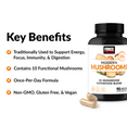 KEY BENEFITS   Traditionally Used to Support Energy, Focus, Immunity, & Digestion Contains 10 Functional Mushrooms Once-Per-Day Formula Non-GMO, Gluten Free, & Vegan