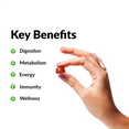 KEY BENEFITS  Digestion Metabolism Energy Immunity  Wellness