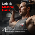 Unlock Massive Gains - KSM-66® ashwagandha and boron help optimize free testosterone to unlock massive gains in muscle and strength.