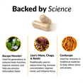 BACKED BY SCIENCE. Bacopa monnieri Used for generations to enhance brain function, improve memory, and help you process information faster.    Lion's Mane, Chaga, & Reishi  Traditionally used to reduce brian fog, increase concentration, improve mood, and enhance focus.   Cordyceps Cordyceps has been used for centuries in traditional medicine to help relieve stress and anxiety.