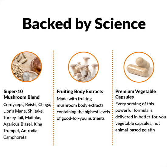 Mushroom Supplement with Lion's Mane, Turkey Tail and Reishi, Brain and  Immune Blend