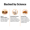 BACKED BY SCIENCE - Super-7 Mushroom Blend Cordyceps, Reishi, Chaga, Lion’s Mane, Shiitake, Turkey Tail, Maitake  Fruiting Body Extracts Made with fruiting mushroom body extracts containing the highest levels of good-for-you nutrients   Amazing Taste  Enjoy the incredible benefits of mushrooms in the most delicious way imaginable without the mushroom taste! 