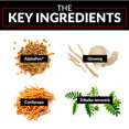 The Key Ingredients:  AlphaFen®  Siberian & Panax Ginseng   Cordyceps  Tribulus terrestris