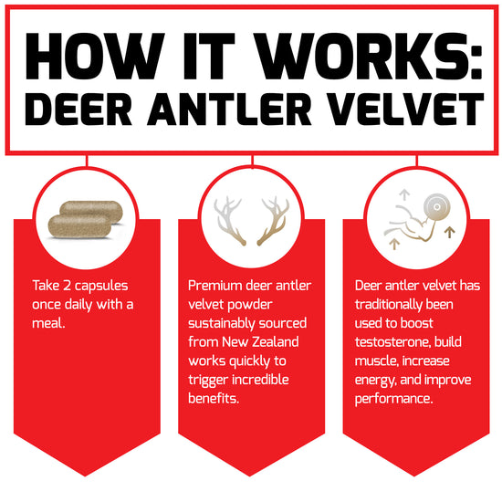 Deer Antler Velvet Supplements for Exercise and Athletic Performance -  StoryMD