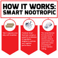 How It Works:  Forebrain Smart Nootropic  Take 2 capsules once daily with breakfast. Forebrain Smart Nootropic contains a powerful combination of ingredients designed to optimize your cognitive performance. The comprehensive formula works to increase mental stamina, enhance concentration, and speed information processing for smarter decision making. 