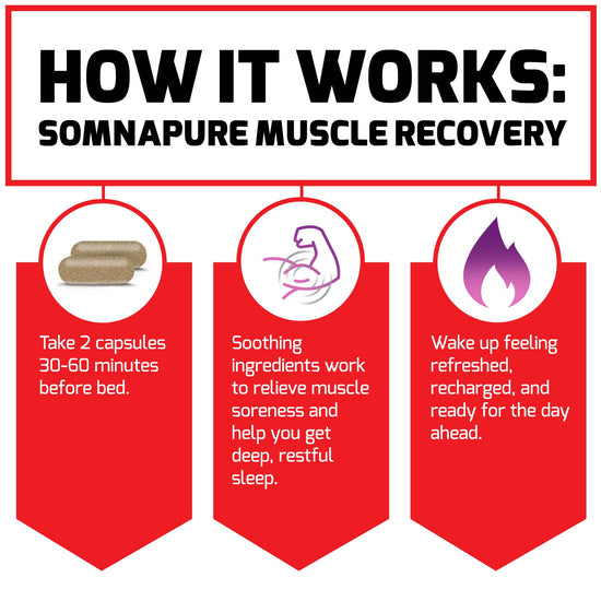 Somnapure Muscle Recovery - Force Factor