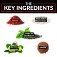 The Key Ingredients: Supresa™, White Kidney Bean Extract, Green Tea Leaf Extract, Garcinia cambogia, zümXR®.