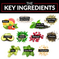 The Key Ingredients: Sinetrol®, White Kidney Bean Extract, Green Tea Leaf Extract, Green Coffee Extract, L-Carnitine, Valerian, Melatonin, L-Theanine, Hops, Lemon Balm, L-Tryptophan.