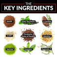 The Key ingredients: zümXR®, Green Tea Extract, L-Carnitine, 5-HTP, Paradoxine® Grains of Paradise, AlphaSize®, TeaCrine®, Dynamine™, Huperzine A.