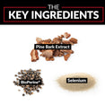 The Key Ingredients: Pine Bark Extract, BioPerine®, Selenium