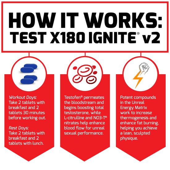 Ignite v2 shop