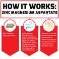 How Zinc Magnesium Aspartate Works: Take 2 tablets daily before bed. Zinc magnesium aspartate helps support testosterone levels, and this formula delivers an optimal 30mg of zinc, 450mg of magnesium, and 10.5mg of vitamin B6, ensuring you get a substantiated dose. BioPerine® is clinically shown to enhance the bioavailability of selenium, helping the formula get to work quickly to deliver incredible results.