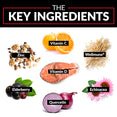 The key ingredients: Zinc, Vitamin C, Wellmune®, Vitamin D, Elderberry, Echinacea, Quercetin.