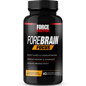 Forebrain Focus