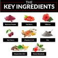 The Key Ingredients: Beetroot Powder, Goji Berry, Hibiscus, Tart Cherry, Vitamins C & D, Zinc, Vitamins B6 & B12, Potent Botanicals 
