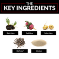 The Key Ingredients: Black Maca, Red Maca, Yellow Maca, BioPerine®, Selenium