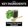 The Key Ingredients Premium Plant-Based Chlorophyll