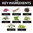 The Key Ingredients: Melatonin, Ashswagandha, L-Theanine, Valerian, Lemon Balm, Chamomile , Passion Flower, Hops