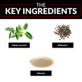 The Key Ingredients: Tribulus terrestris, BioPerine®, Selenium 