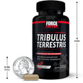 Tribulus Terrestris, 60 Capsule Bottle, Size Chart.
