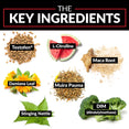 The Key Ingredients: Testofen®, L-Citrulline, Maca Root, Damiana Leaf, Muira Pauma, Stinging Nettle, DIM (diindolylmethane).
