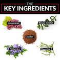 The key ingredients: COGNIGRAPE™, Bacopa monnieri, zümXR®, Thinkamine™, Huperzine A.
