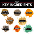 The Key Ingredients: KSM-66® Ashwagandha, AstraGin®, Nitrosigine®, AlphaFen®, AlphaSize®, BioPerine®, PrimaVie®, Spectra™